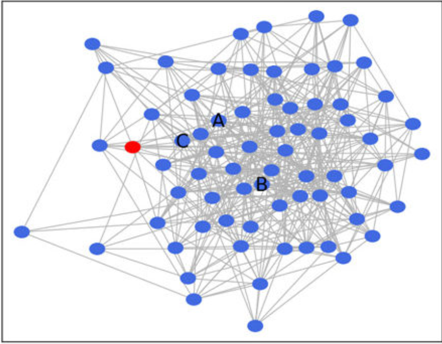 network